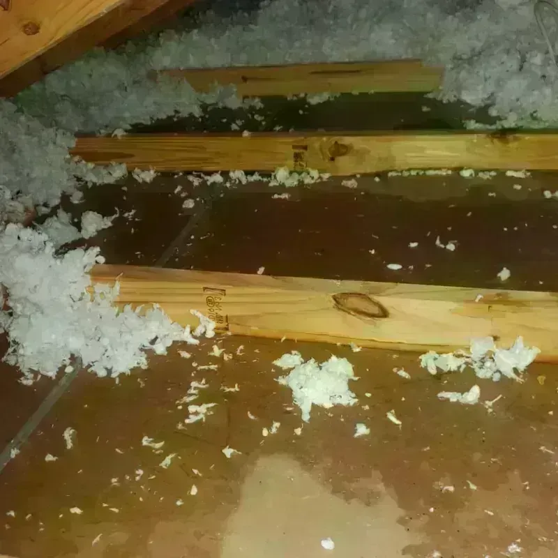 Attic Water Damage in Wolfeboro, NH