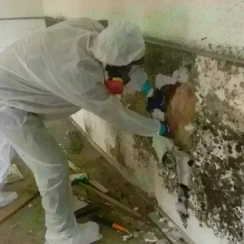 Mold Remediation and Removal in Wolfeboro, NH